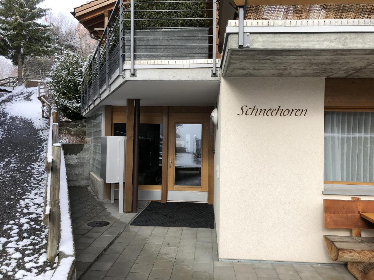 Chalet Schneehoren Penthouse Wengen Esterno foto
